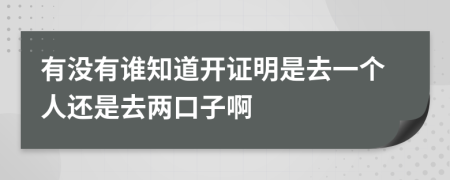有没有谁知道开证明是去一个人还是去两口子啊