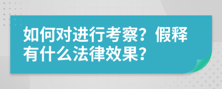 如何对进行考察？假释有什么法律效果？