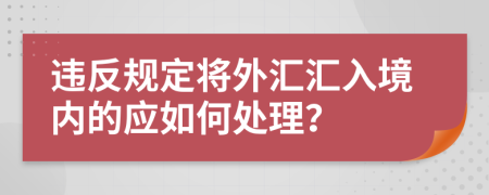 违反规定将外汇汇入境内的应如何处理？