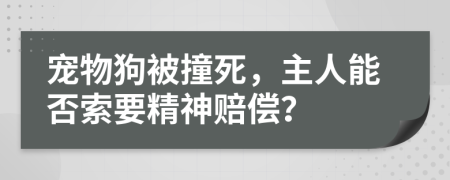 宠物狗被撞死，主人能否索要精神赔偿？