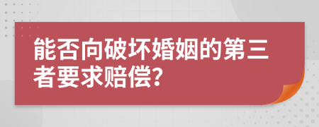 能否向破坏婚姻的第三者要求赔偿？