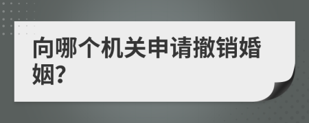 向哪个机关申请撤销婚姻？