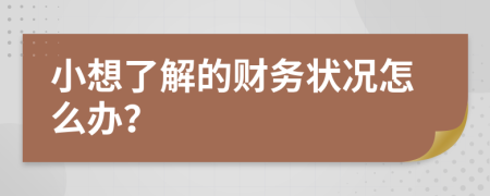 小想了解的财务状况怎么办？