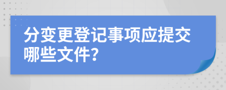 分变更登记事项应提交哪些文件？