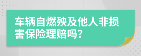 车辆自燃殃及他人非损害保险理赔吗？