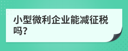 小型微利企业能减征税吗？