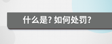 什么是? 如何处罚?