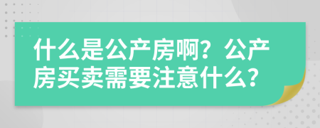 什么是公产房啊？公产房买卖需要注意什么？