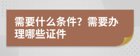 需要什么条件？需要办理哪些证件