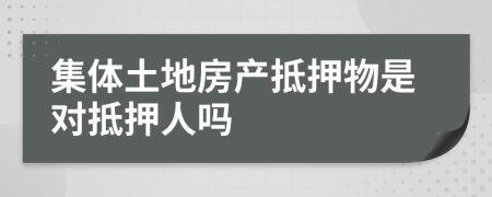 集体土地房产抵押物是对抵押人吗