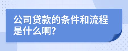 公司贷款的条件和流程是什么啊？