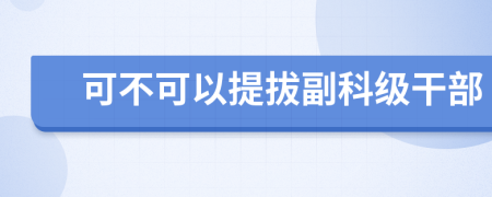 可不可以提拔副科级干部