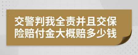 交警判我全责并且交保险赔付金大概赔多少钱