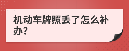 机动车牌照丢了怎么补办？