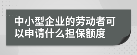 中小型企业的劳动者可以申请什么担保额度