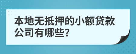 本地无抵押的小额贷款公司有哪些？