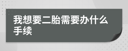 我想要二胎需要办什么手续