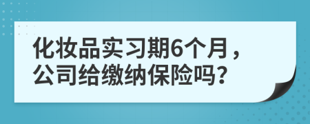 化妆品实习期6个月，公司给缴纳保险吗？