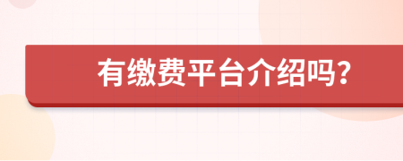 有缴费平台介绍吗？