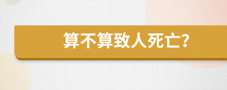 算不算致人死亡？