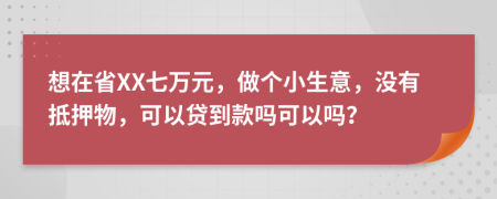 想在省XX七万元，做个小生意，没有抵押物，可以贷到款吗可以吗？