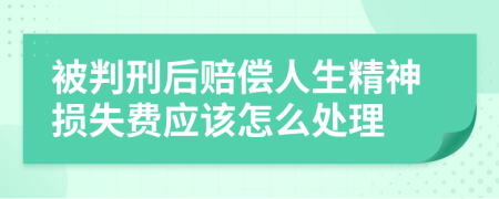 被判刑后赔偿人生精神损失费应该怎么处理