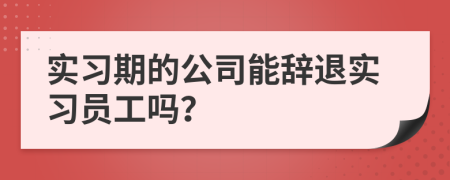 实习期的公司能辞退实习员工吗？