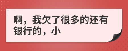 啊，我欠了很多的还有银行的，小