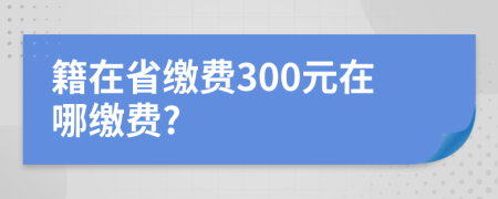 籍在省缴费300元在哪缴费?