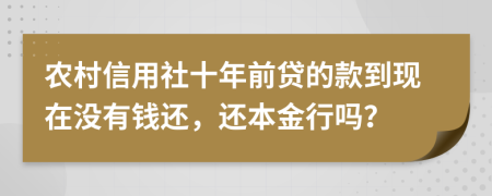 农村信用社十年前贷的款到现在没有钱还，还本金行吗？