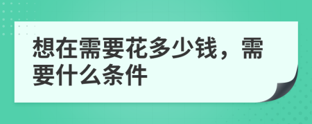 想在需要花多少钱，需要什么条件