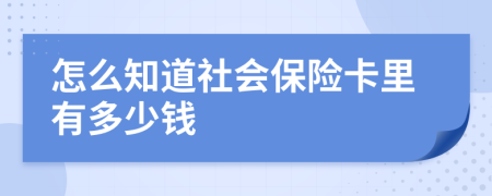 怎么知道社会保险卡里有多少钱