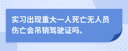 实习出现重大一人死亡无人员伤亡会吊销驾驶证吗、