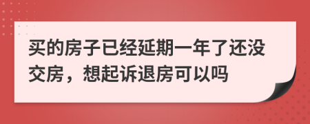 买的房子已经延期一年了还没交房，想起诉退房可以吗