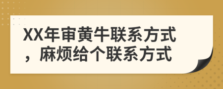 XX年审黄牛联系方式，麻烦给个联系方式