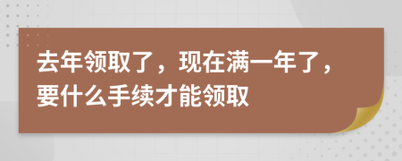 去年领取了，现在满一年了，要什么手续才能领取