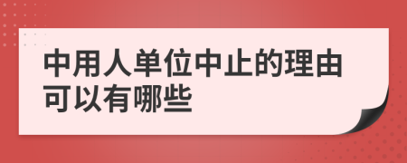 中用人单位中止的理由可以有哪些