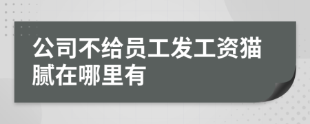 公司不给员工发工资猫腻在哪里有