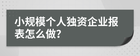 小规模个人独资企业报表怎么做？