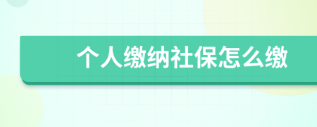 个人缴纳社保怎么缴