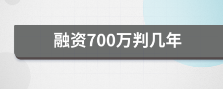 融资700万判几年