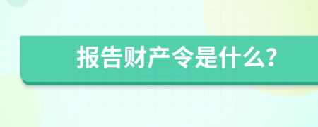 报告财产令是什么？