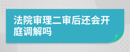 法院审理二审后还会开庭调解吗