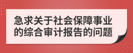 急求关于社会保障事业的综合审计报告的问题