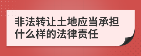 非法转让土地应当承担什么样的法律责任