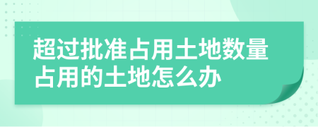 超过批准占用土地数量占用的土地怎么办