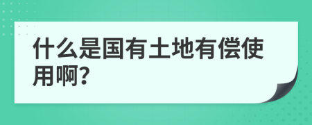 什么是国有土地有偿使用啊？