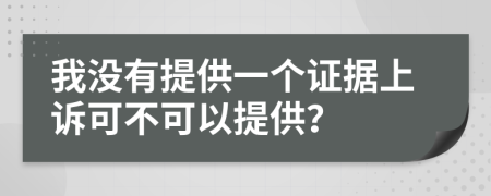 我没有提供一个证据上诉可不可以提供？