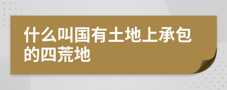 什么叫国有土地上承包的四荒地
