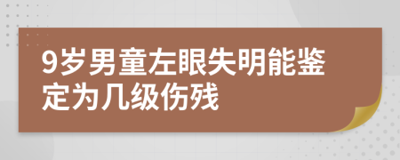 9岁男童左眼失明能鉴定为几级伤残